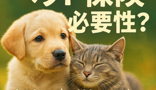 うちの子を守れるのは、今の私だけ。ペット保険って“もしも”じゃなく“いつか”のためにあるんだ